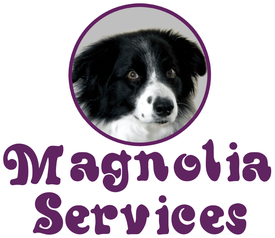 Magnolia Carpet Cleaning Logo